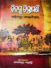 Bidagdha Chintamani By Abhimanyu Samantsinghar