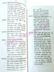 Odishare Swadhinatasangram By Jagannath Pattanik