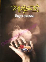 Ashtray By Dilip Behera