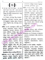Odia Pratisabda Abhidhan By Dinabandhu Biswal