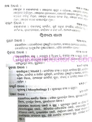 Lokasahitya O Lokasahitya Tatwa By Benudhar Padhi