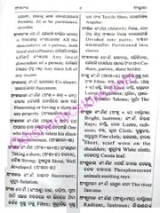 Saraswata Odia Bhasakosha By Krupasindhu Biswal