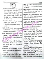 Saraswata Odia Bhasakosha By Krupasindhu Biswal