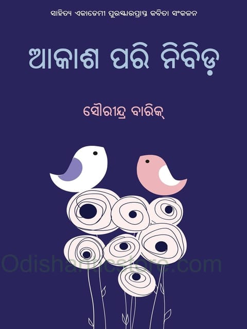Akasha Pari Nibida By Sourindra Barik