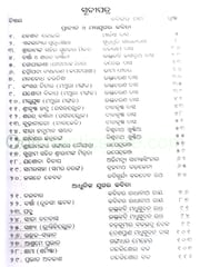 Kabita Prabesha By Shankar Sahu